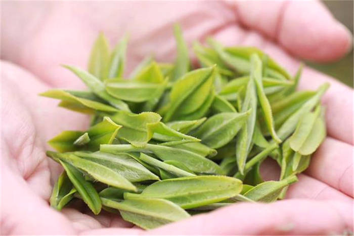 关于湖北：表决通过！种茶单位超标准使用农药最高罚10万元的热门资讯