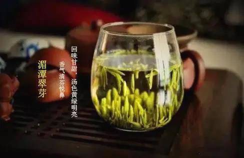 有关于张天福选址的茶场，诞生西湖龙井的贵州“私生子”的热门资讯