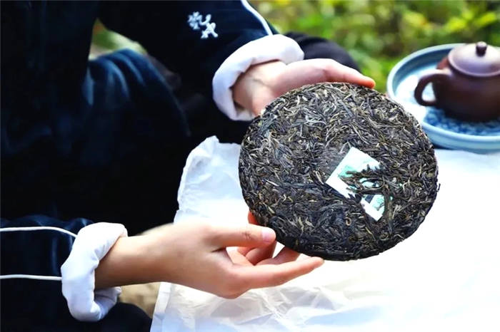 关于云南省茶叶流通协会回应“春茶乱象”问题的热门信息(1)