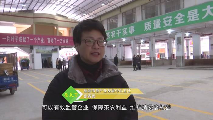 关于福鼎白茶大数据溯源平台正式运行，听听茶农茶企都是怎么说！的热门新闻(17)