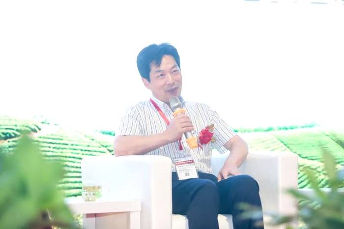 关于专家说徽茶：桐城小花、泾县兰香、黄花云尖......的资讯(8)