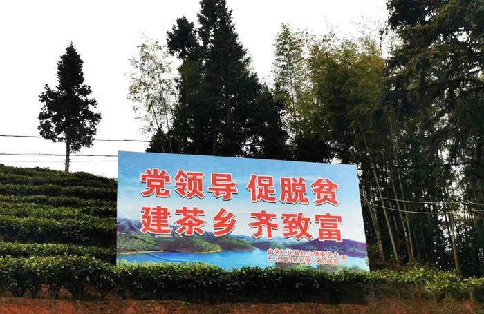 关于东莞茶协考察粤北茶区 振兴“粤茶”要唱响东莞声音的最新消息