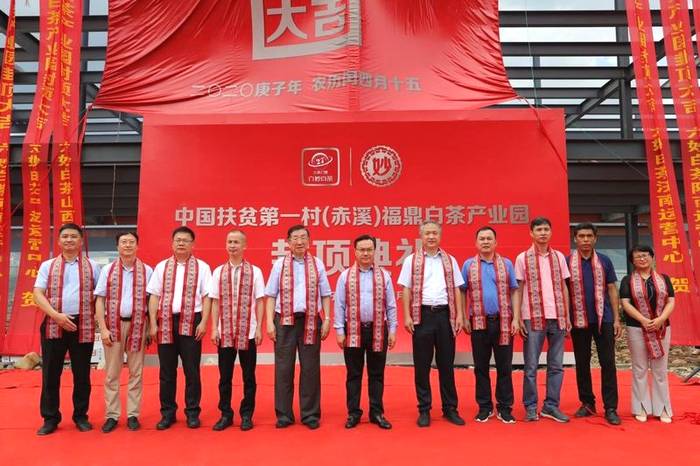 关于一样的路，不一样的风景——回首2020的福鼎白茶的信息(9)