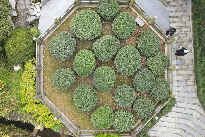 关于华春莹点赞杭州！外国朋友也被惊艳到了：“味道好极了……”的热门消息(13)