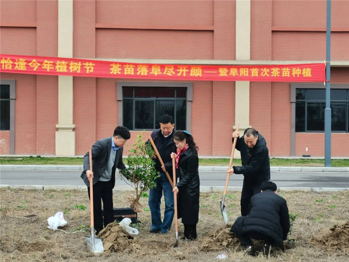 关于安徽省茶文化研究会副会长宋伟一行赴阜阳调研茶酒融合发展的热门信息(1)