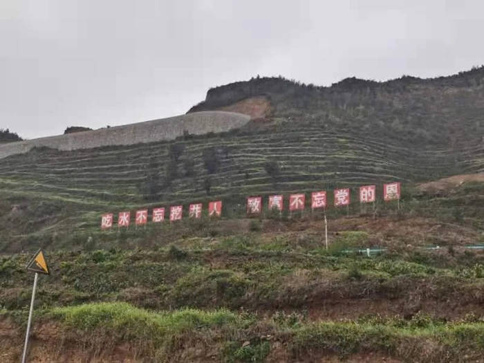 有关于“携茶白叶一号”联销首发助力“三省五县”乡村振兴的热门消息(5)