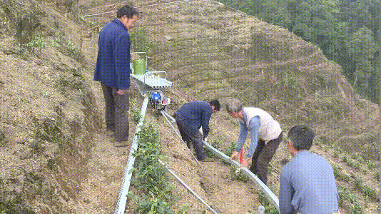 有关于宜宾这片茶园长出了一条“轻轨”！载重可达450公斤！的新闻(2)