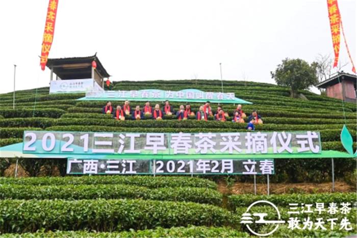 关于一周茶事 | 中国茶业“十四五”这样规划；开春茶事多！的资讯(6)