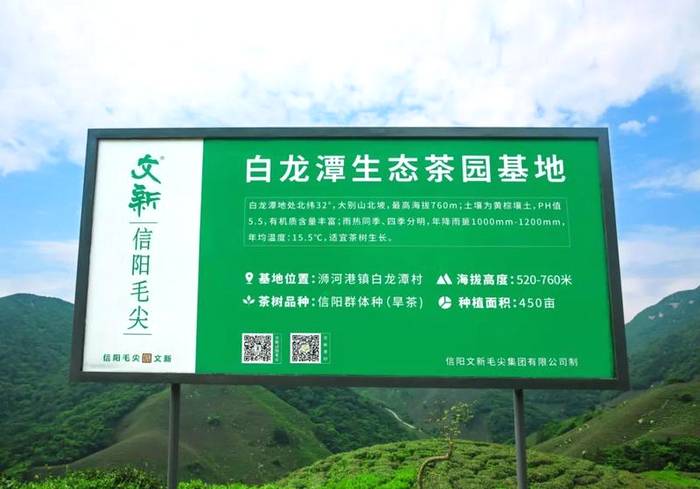 有关于每一片文新茶叶,都有属于自己的生态茶园的热门资讯(8)
