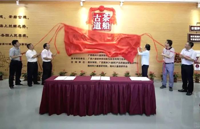 关于全国首个六堡茶公共茶仓,《外来媳妇本地郎》曾在这里取景的热门资讯(4)