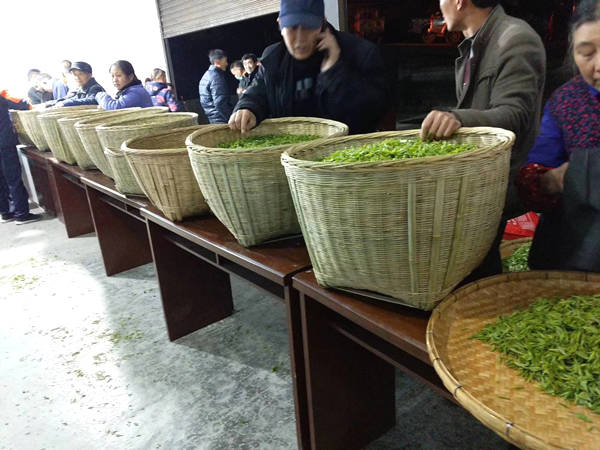 关于推动茶业新零售业态变革，超级社区助力茶企突围发展的热门消息