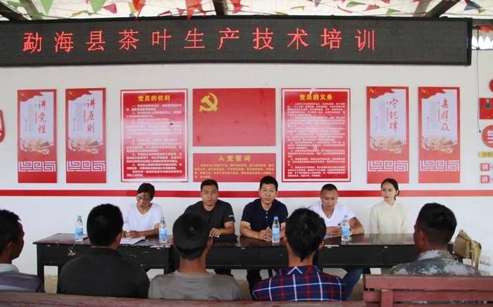 关于5.21国际饮茶日 走进茶企 走进茶山的消息(4)