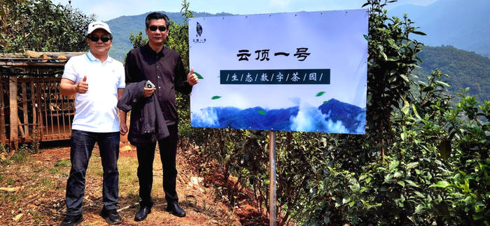 有关于数字 生态茶园概念诞生 足不出户可掌握茶树生长情况的热门信息(4)