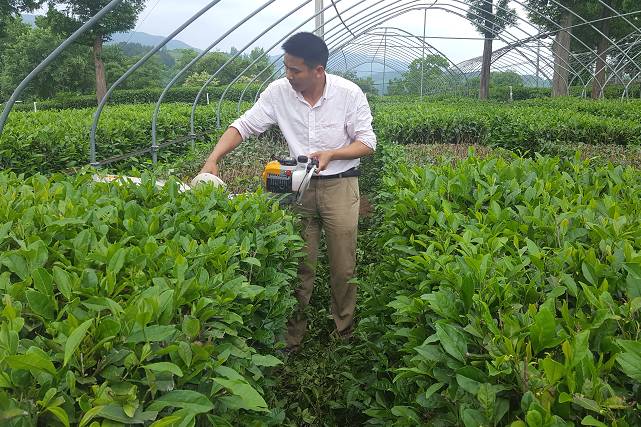 有关于陕西省茶业协会茶叶审评专业委员会正式成立的最新信息(2)