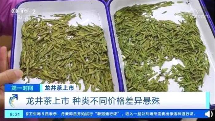 有关于一周热门：各地茶王树开采、整治毁林种茶、武汉茶博会即将启幕的热门资讯(2)