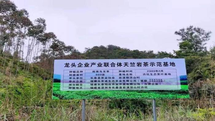 有关于成立产业联合体,漳州长泰县抱团发展茶产业的热门消息(4)