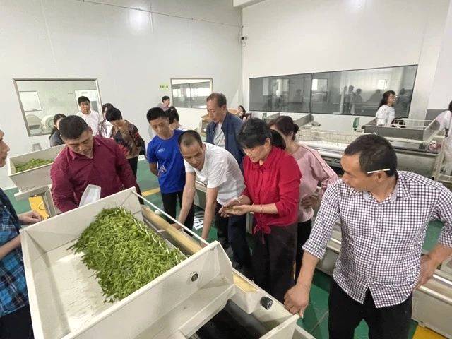 关于理论实践紧密结合，加快茶叶职业技能提升步伐的资讯(7)