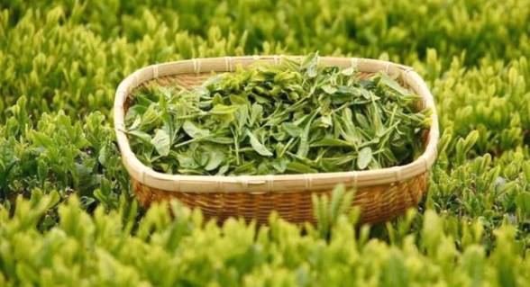 有关于一周热门：中国茶叶7年内出口量首次下降，春茶进入全面开采期，中茶【金中茶】新品发布，第十九届农交会，武汉茶博会的信(3)