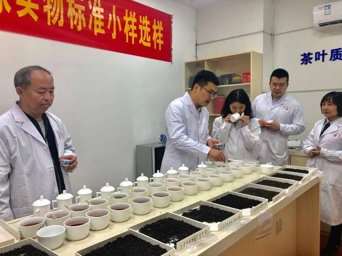 有关于抓好落实 加快研制六堡茶国家实物标准样的热门信息(3)