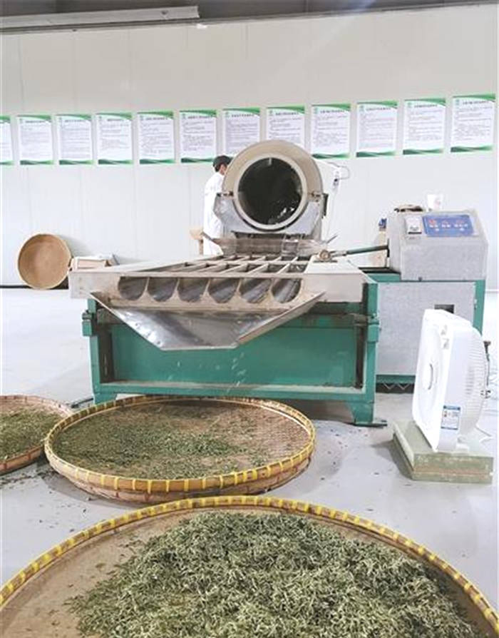 关于“机器换人” 宁波茶叶生产迎来“满园春”的热门新闻(1)