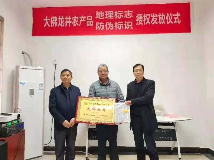 关于大佛龙井正式启动使用农产品“双标”授权仪式的热门资讯(8)