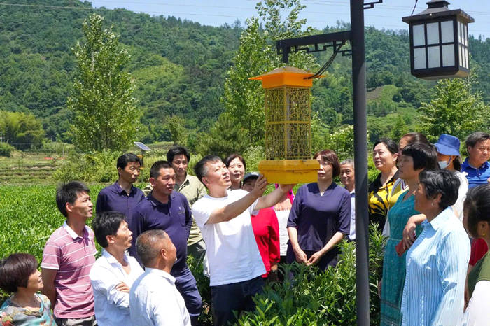 有关于舒城县：以科技推动茶业生产，助农增收，助力乡村振兴的信息