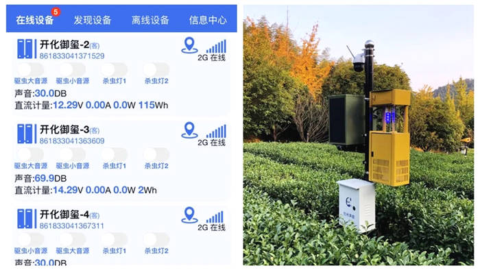 有关于开化龙顶茶：水中跳芭蕾，国家地理标志农产品的热门信息(12)