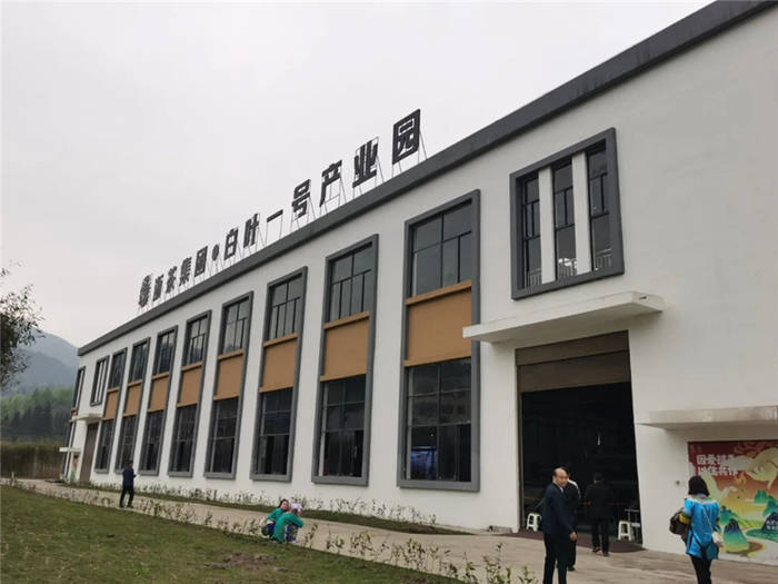 有关于“携茶白叶一号”联销首发助力“三省五县”乡村振兴的热门消息(25)