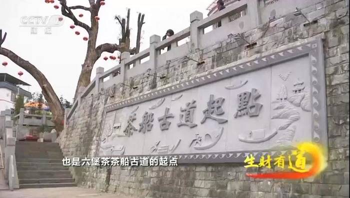 有关于梧州六堡茶又双叒叕上央视！为六堡茶打call！的资讯(4)