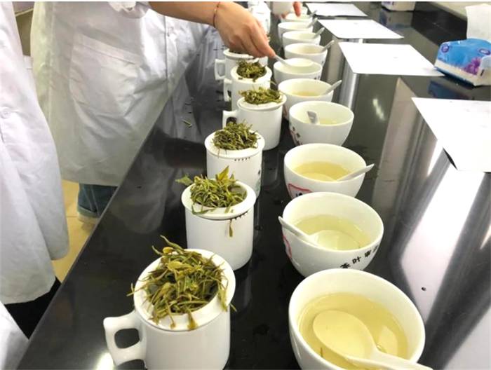 关于一周速读：茶王专访、乌龙茶品种‘黄旦’、大咖探讨川茶发展的热门新闻(1)