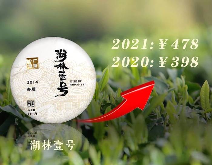 有关于新时代下,稳步良性发展的产业——福鼎白茶,值得关注的资讯