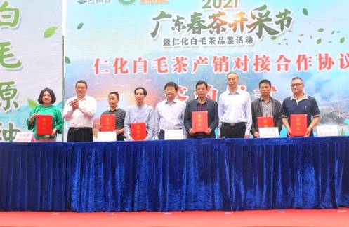 有关于广东春茶上新产销两旺,茶农们迎来“富口袋”的热门消息(7)