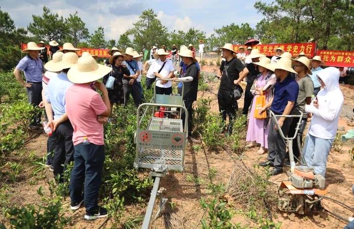 有关于梧州市茶产业发展中心推动六堡茶产业高质量发展的消息(2)