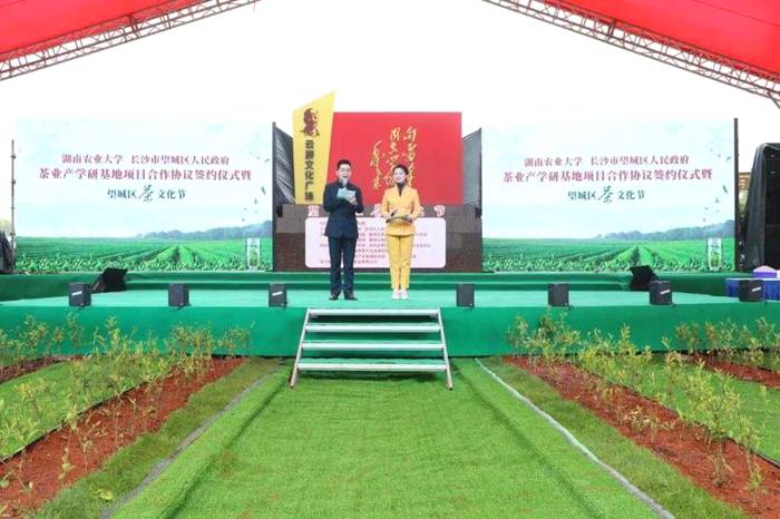 有关于湖南农业大学与望城区茶业产学研基地合作项目签约的资讯