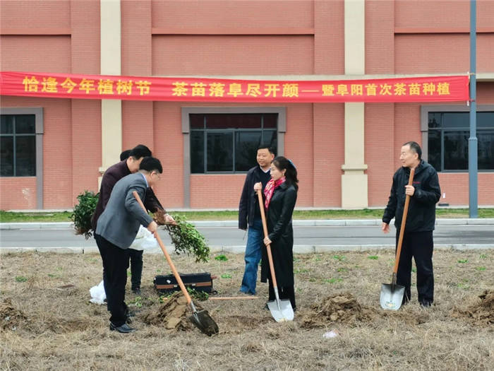 关于安徽省茶文化研究会副会长宋伟一行赴阜阳调研茶酒融合发展的热门信息(2)