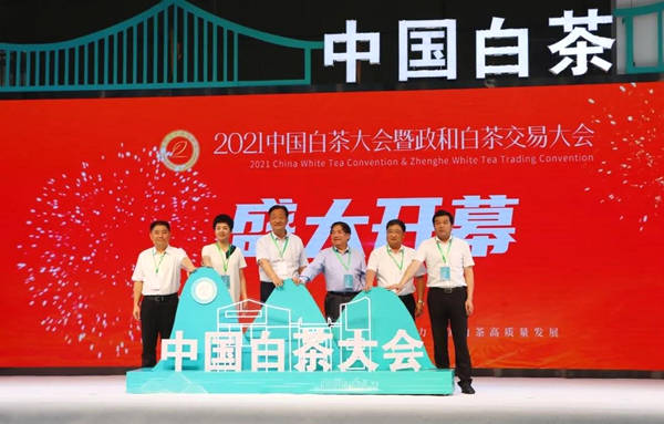 有关于“2021中国白茶大会暨政和白茶交易大会”在福建政和举行的热门资讯
