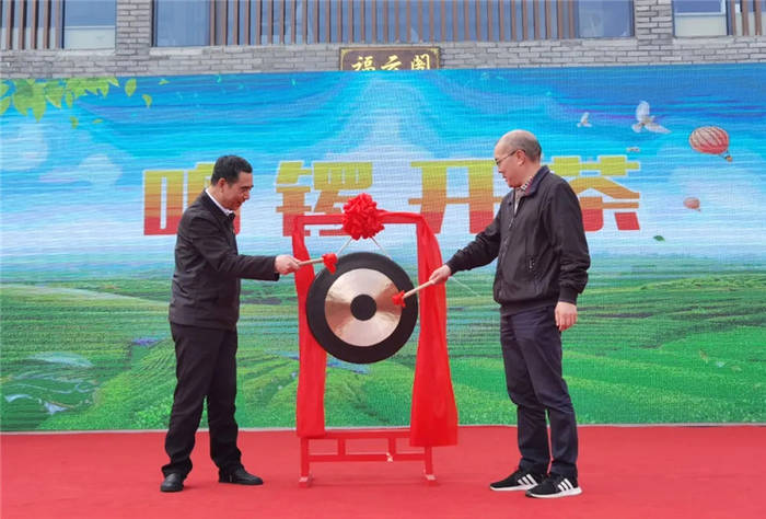 关于“坦洋工夫”春茶正当时，科技力量创良好开局的热门资讯