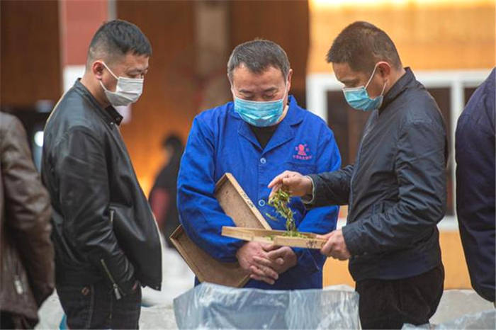 有关于春茶到！浙江几十个产茶区县春茶陆续开采的热门资讯(7)