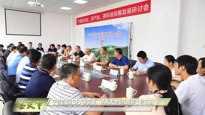 有关于宁德首届红茶大赛落幕，这两大类型红茶将主导市场的资讯(8)