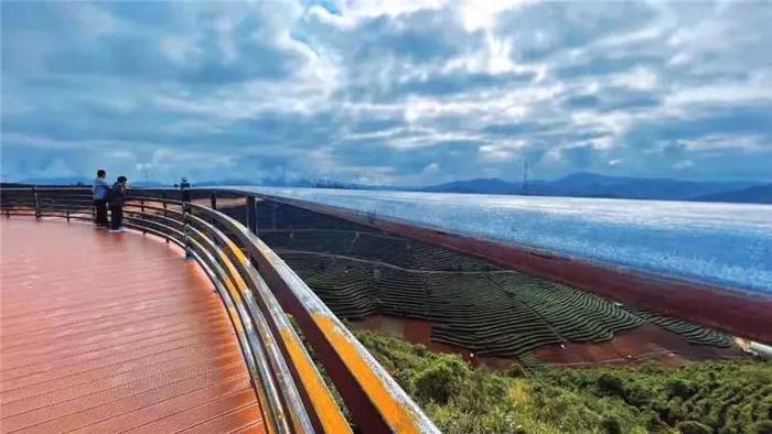 有关于云南省茶产业奖补名单出炉，普洱市喜获“双科状元”！的最新信息(17)