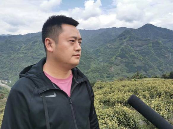 关于雅安｜荥茶万亩茶山飘香  助力乡村振兴的最新信息(5)