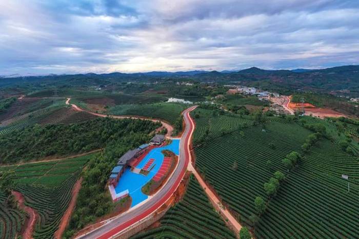 关于普洱思茅实现生态茶园及有机茶产品溯源全覆盖的热门消息(1)