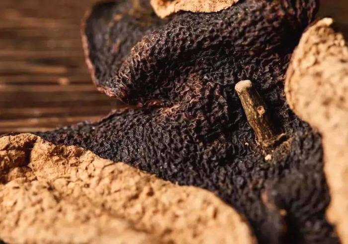 有关于【新会陈皮】列入广东省2021年新冠疫情预防方的热门新闻(6)