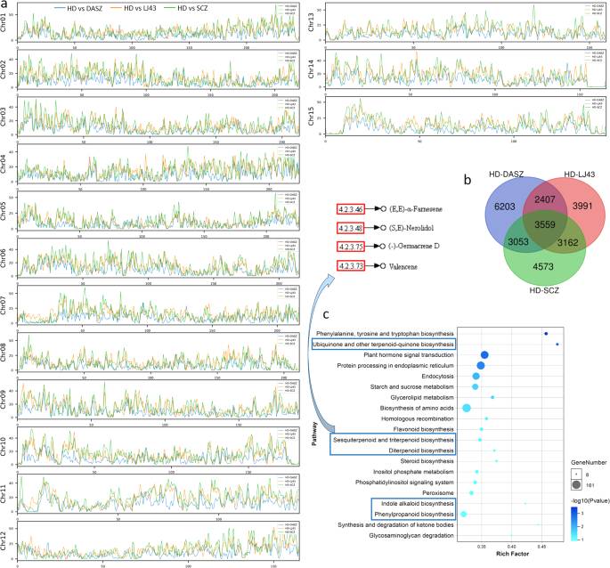 关于叶乃兴教授团队揭示高香优质乌龙茶品种‘黄旦’的单体型和二倍体参考基因组的热门消息(1)