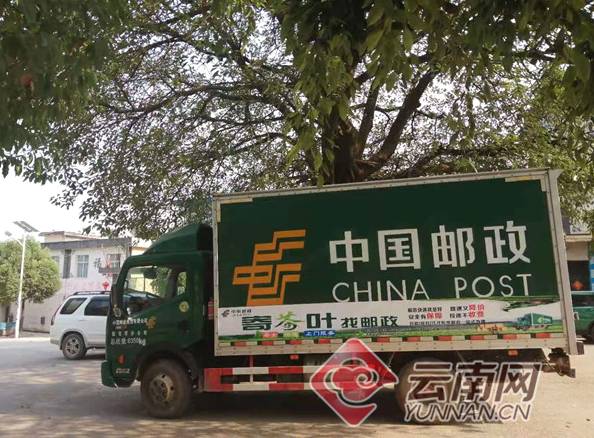 关于助力云茶出山 云南邮政打造茶农“惠农服务生态圈”的热门信息(2)