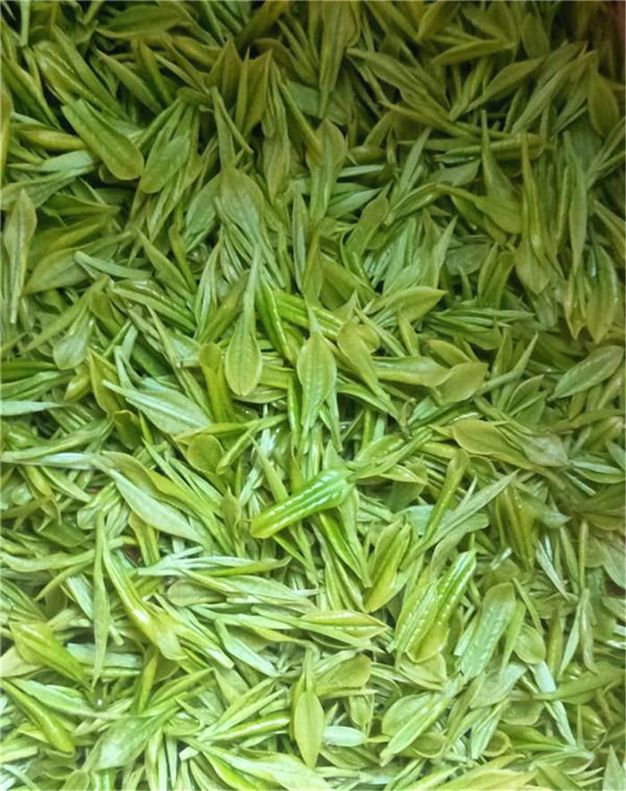 有关于四川广安武胜县：一斤1700元的茶叶种进小山村 助农增收的信息(5)