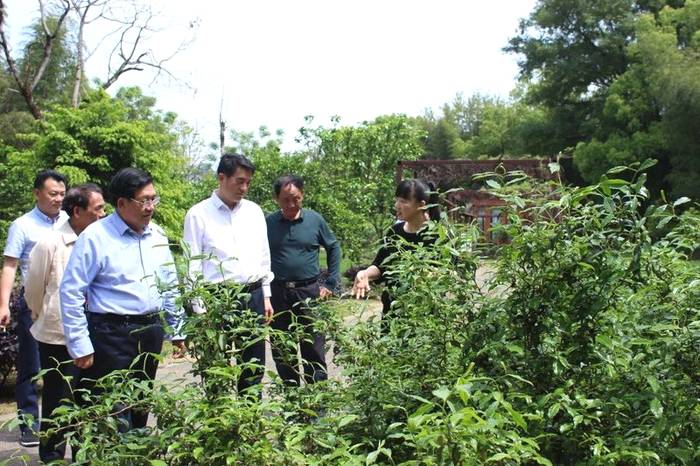 关于海峡两岸茶业交流协会会长陈绍军等一行深入武夷山调研茶产业的新闻(7)