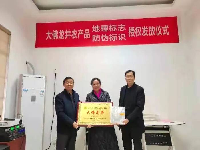 关于大佛龙井正式启动使用农产品“双标”授权仪式的热门资讯(16)