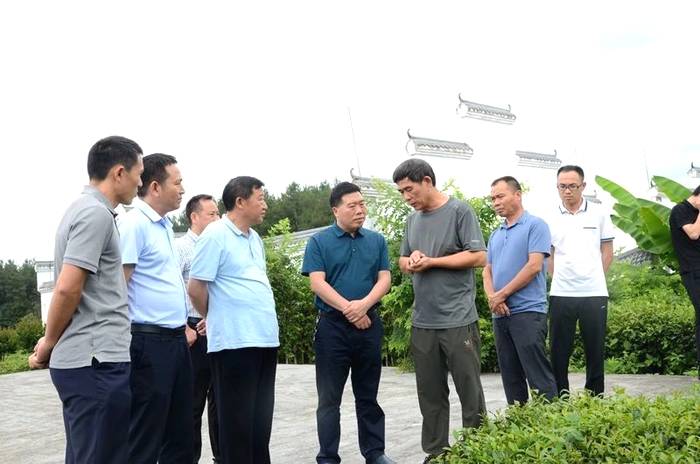 关于海峡两岸农业发展研究院莅凤考察茶叶产业的热门信息(1)
