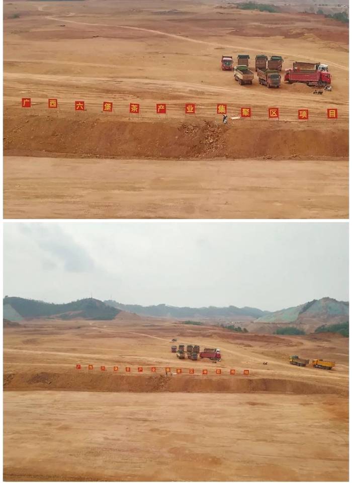 有关于梧州市茶产业发展中心推动六堡茶产业高质量发展的消息(3)